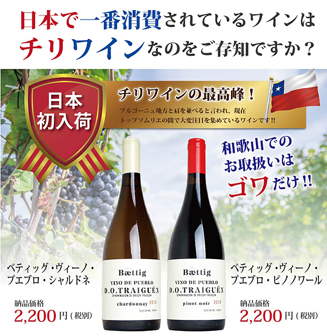 日本初入荷チリワイン